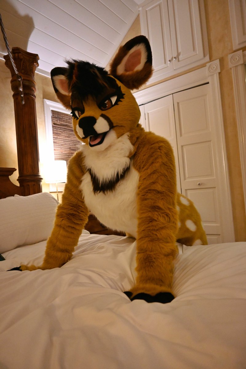 deer diary 🐴 @lvfc(?) tweet media