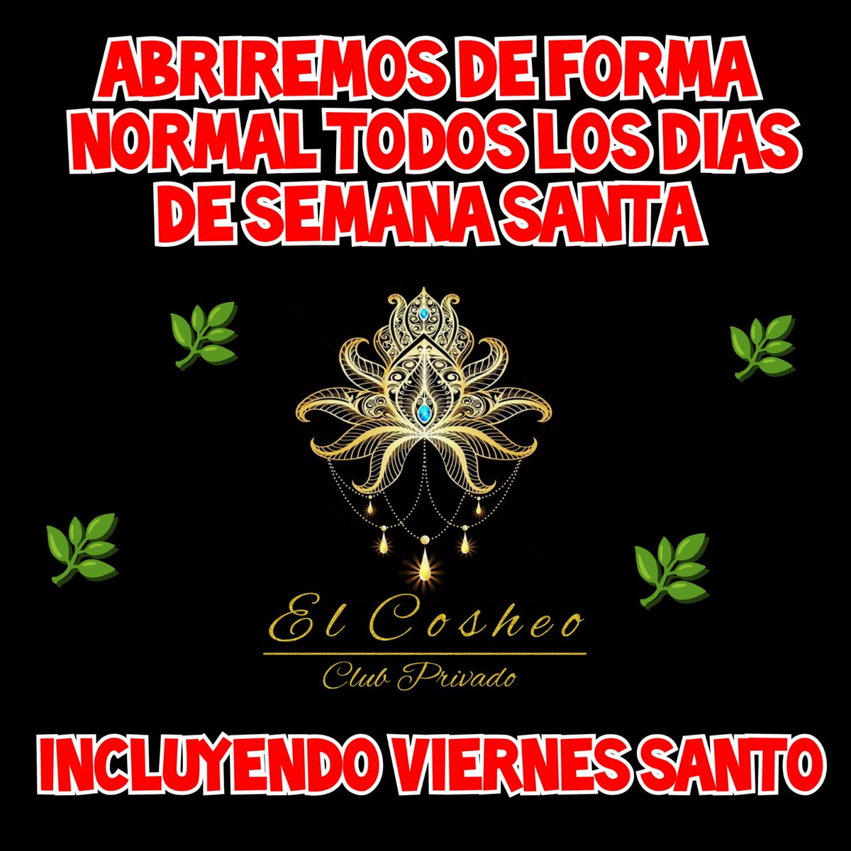 El Cosheo tweet media