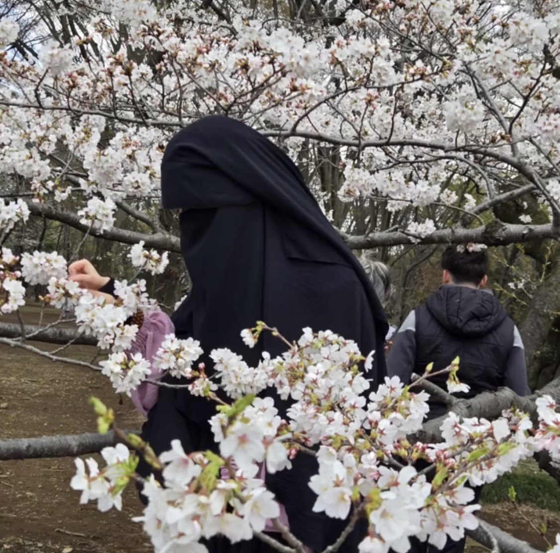 穂積茂行（Shigeyuki Hozumi） tweet media