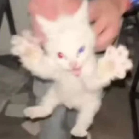 Виктор Варрен tweet media