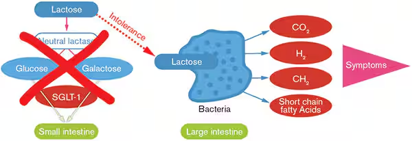 saiken, M.D. 💜🩺 doctor irl & vtuber tweet media