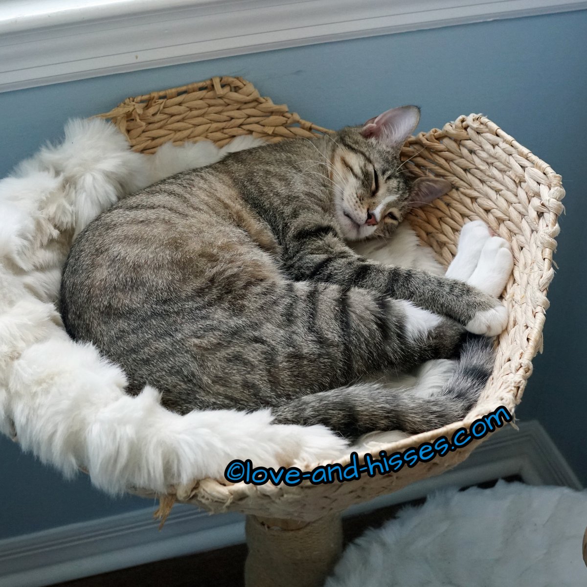 Robyn Anderson tweet media