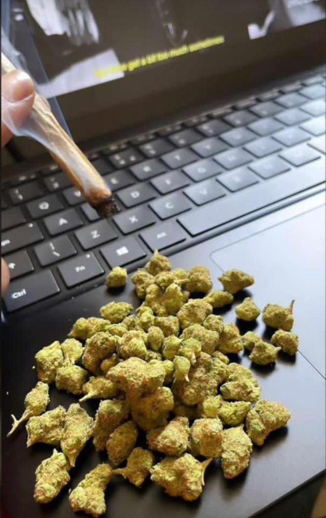 Calikush farms tweet media