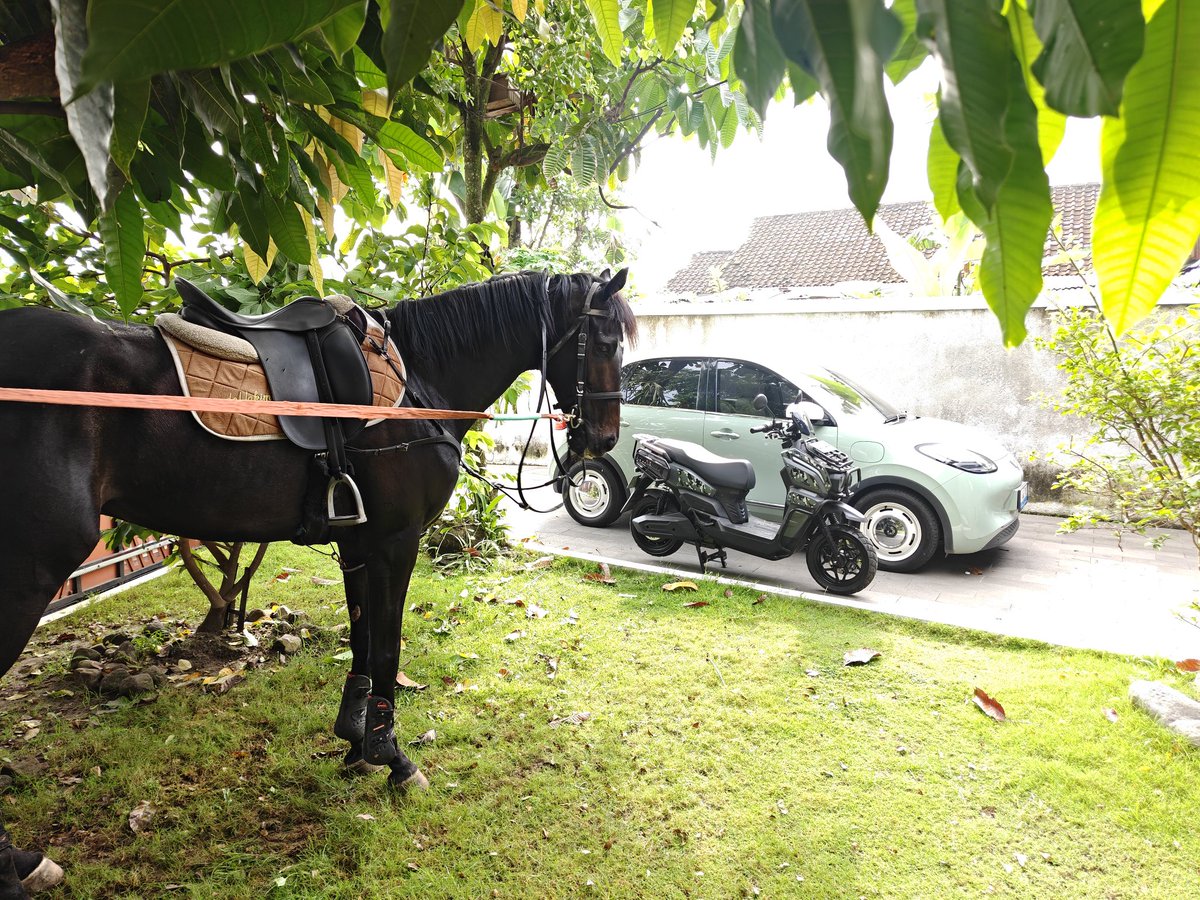 Ridwan Hanif tweet media