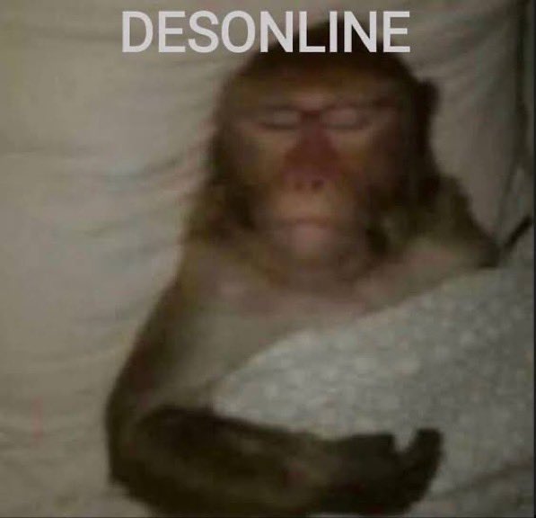 shinobu kocho tweet media