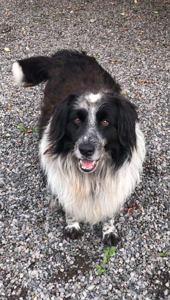 MoviesThatMaher tweet media