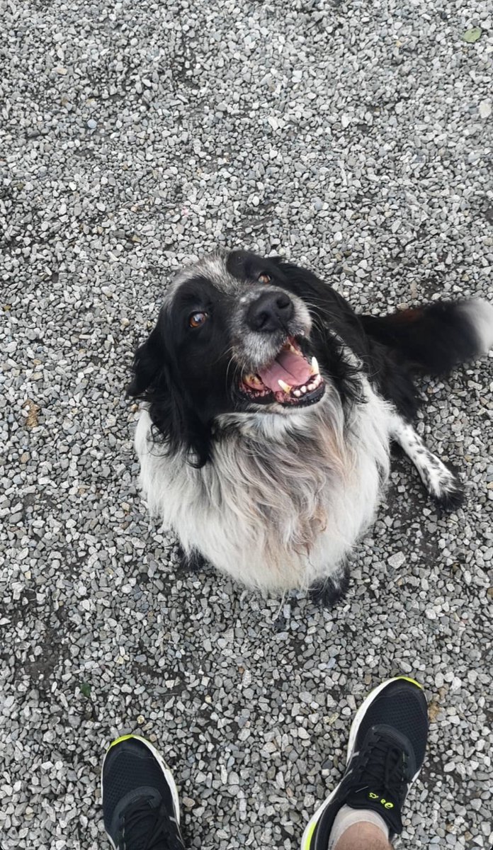 MoviesThatMaher tweet media