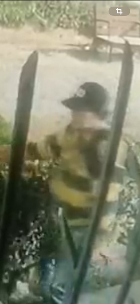 RHEBEP's tweet photo. ¡ALERTA!
EN LOMA BELLA Un INFELIZ INESTABLE MENTAL ANDA CON SU PERRO PASEÁNDOLO SIN CORREA Y COMO DIVERSIÓN AZUZA A SU PERRO PARA ATAQUE A LOS GATOS,SÍ ESO HACE EN PÚB. Q NO HARÁ EN LO PRIVADO este tipo de locos son de cuidado el día d mañana ya no solo serán gatos @Hechizero_38 https://t.co/xUn4Fate3I