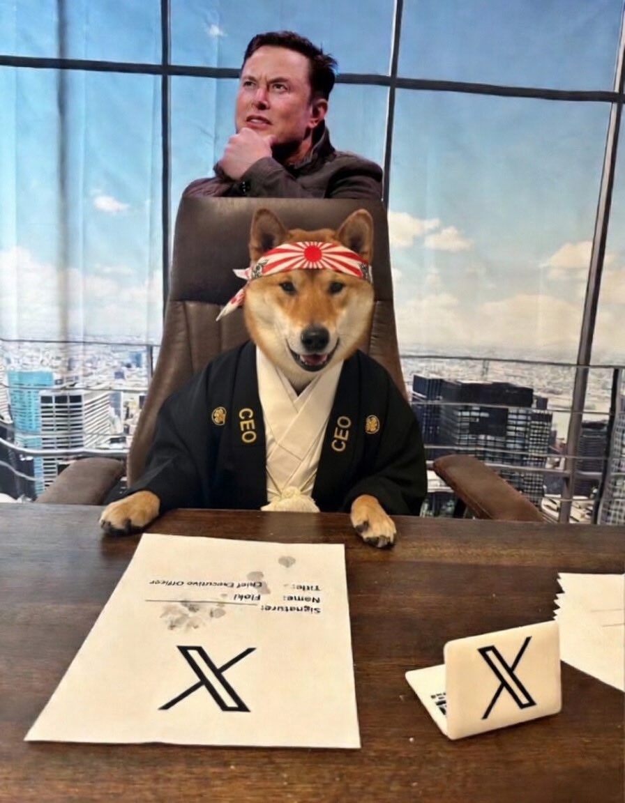 ÐOGE-EMPIRE.𝕏 🚀 🇺🇸 🐕⚡️ tweet media