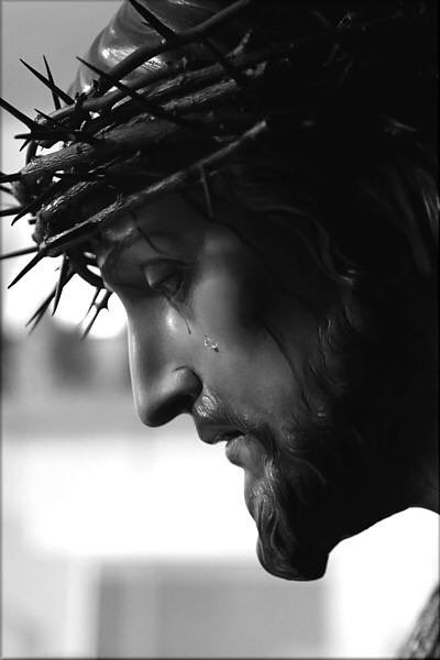 pqno ☩ ☧ (@alxpqno) on Twitter photo 