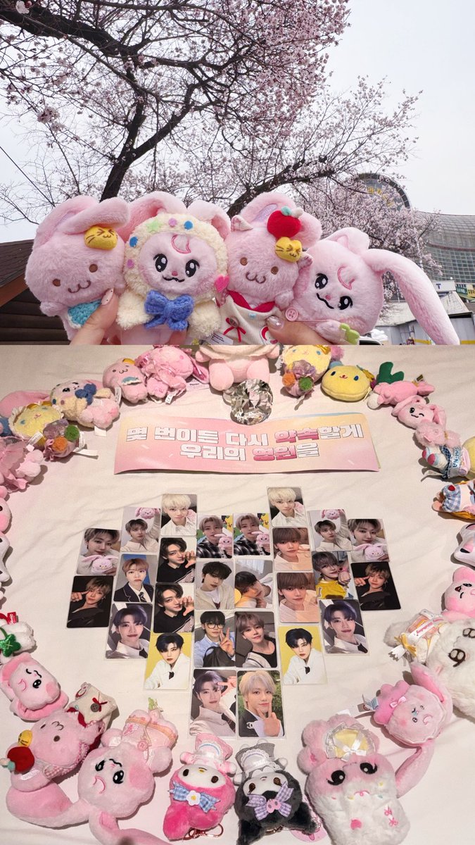 Mingo🐰 tweet media