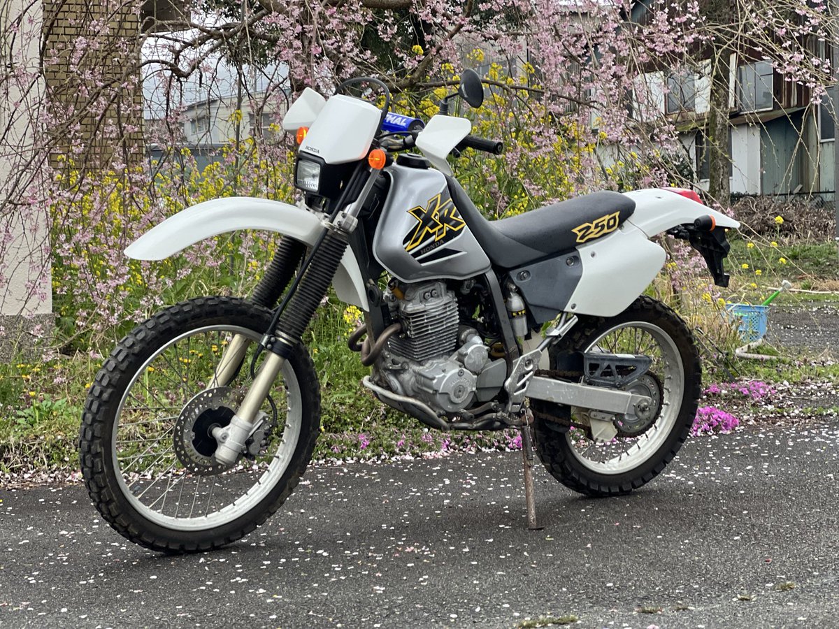 FREEDOM阿蘇び人晴れ男☀️ tweet media