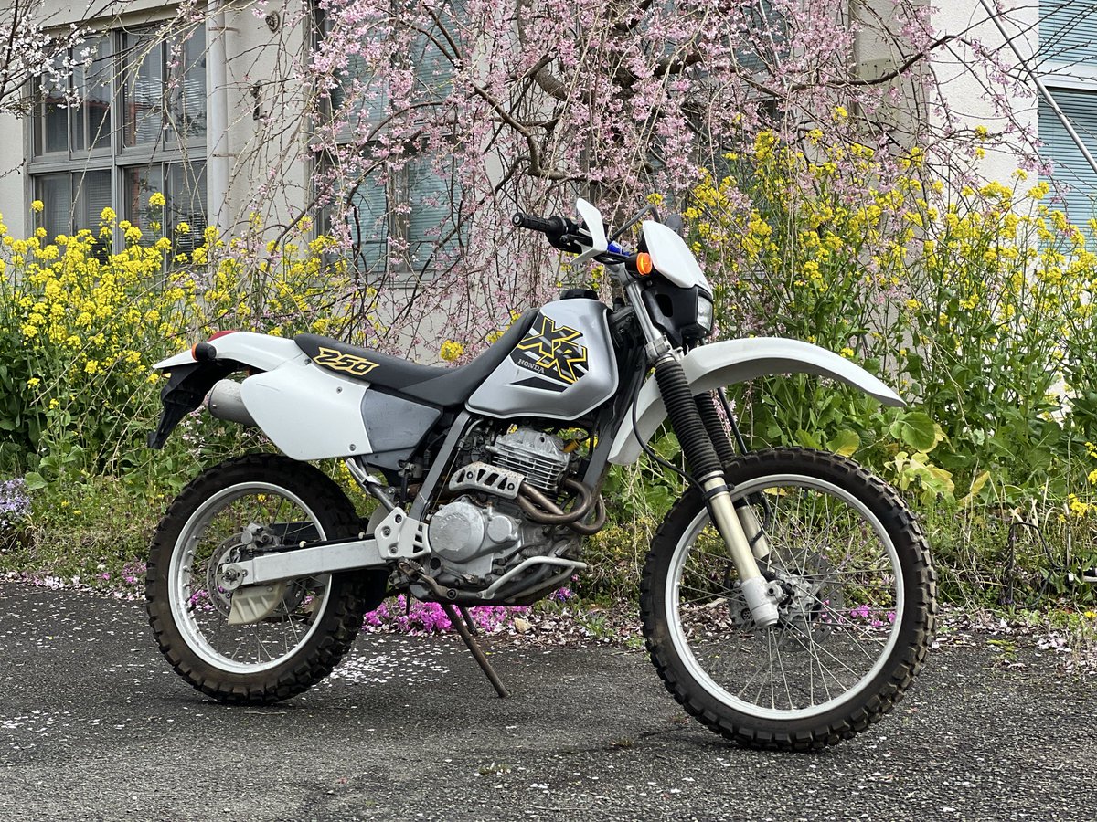 FREEDOM阿蘇び人晴れ男☀️ tweet media