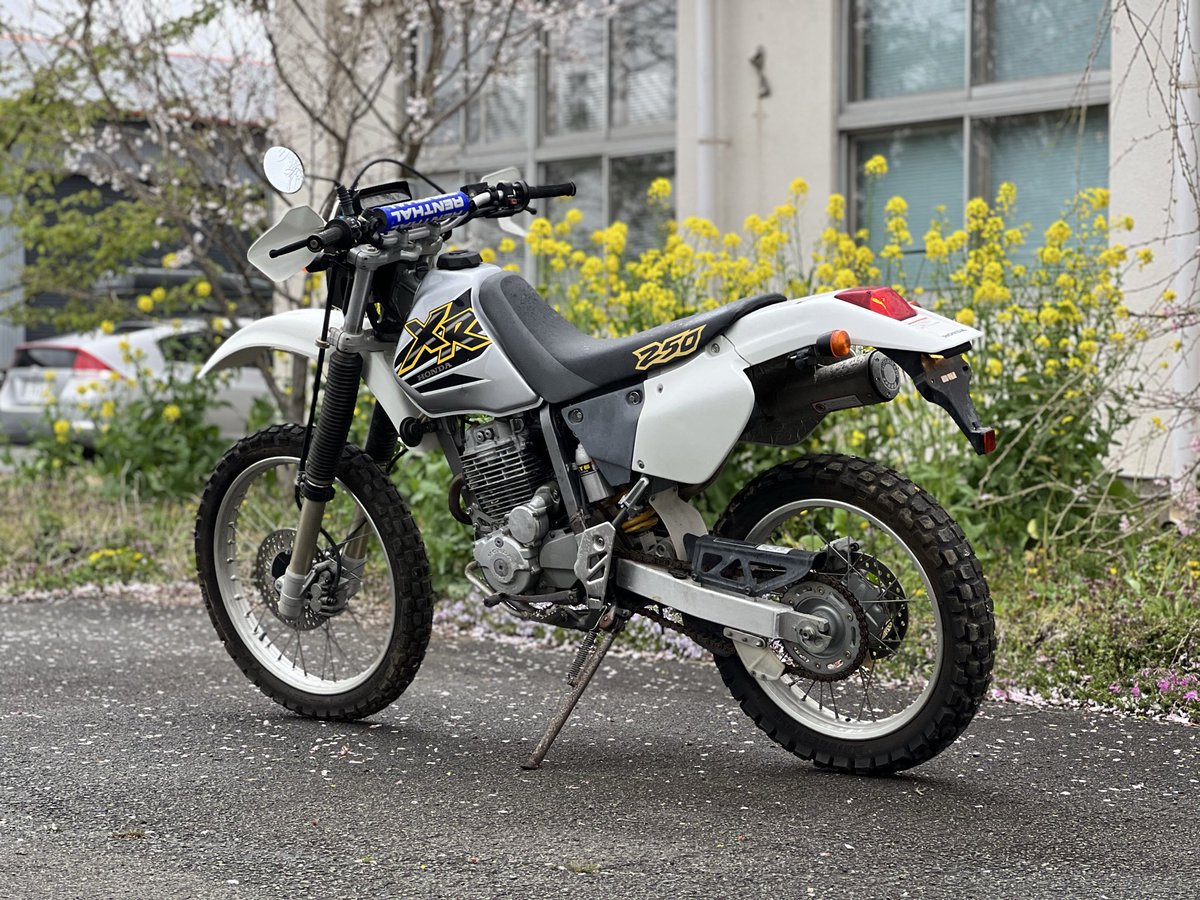 FREEDOM阿蘇び人晴れ男☀️ tweet media