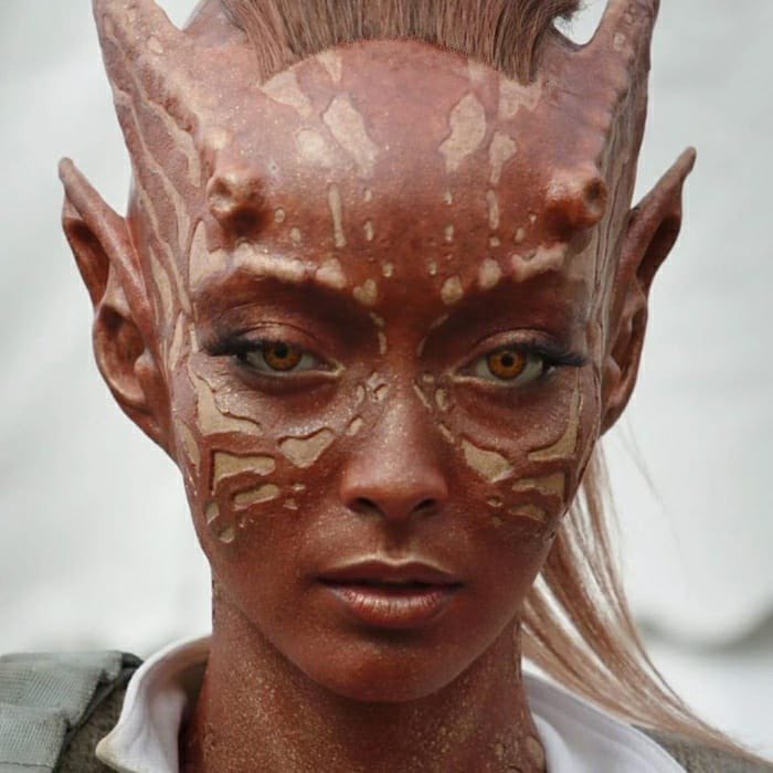 JAKE LOW tweet media