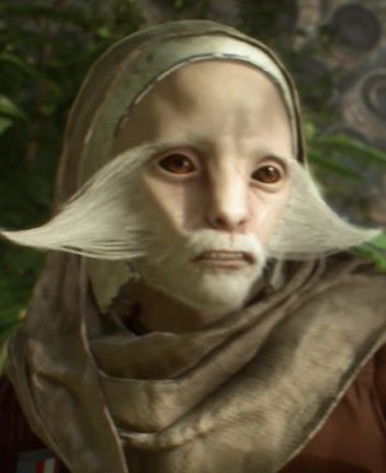 JAKE LOW tweet media