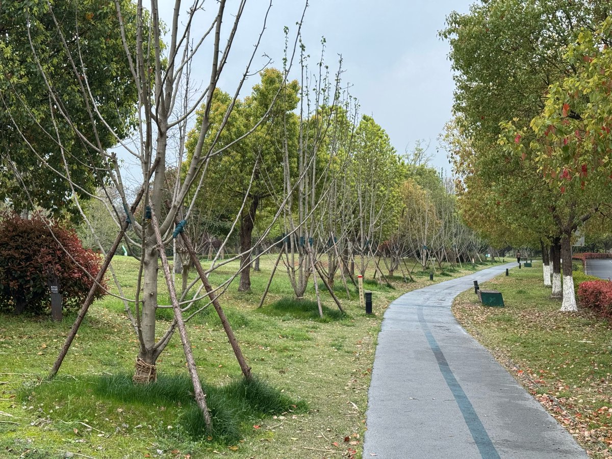 图拉鼎 tweet media