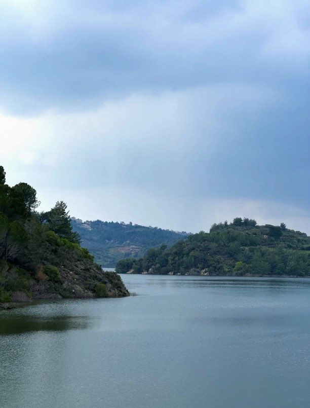 𝗗𝗶𝗵𝗺 ❀ tweet media