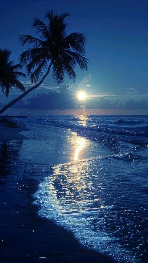 Aesthetics tweet media