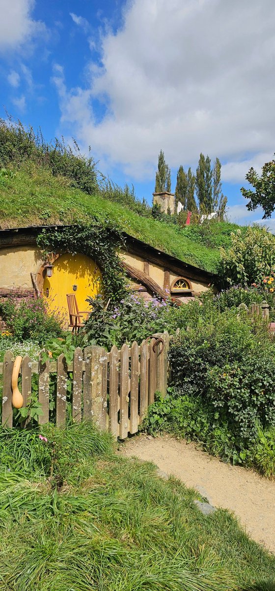 Mysterybuzu tweet media