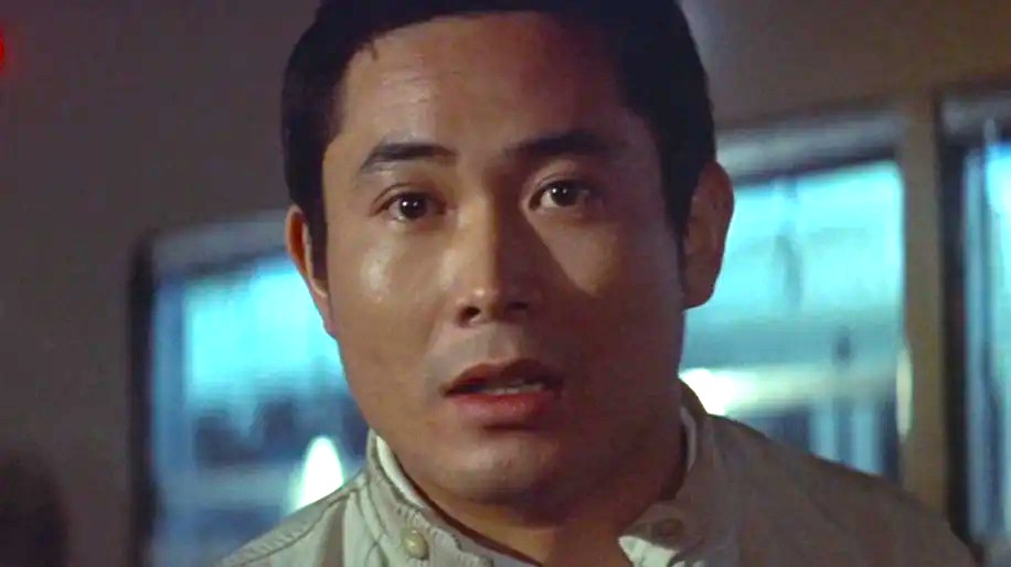 どんぶり tweet media