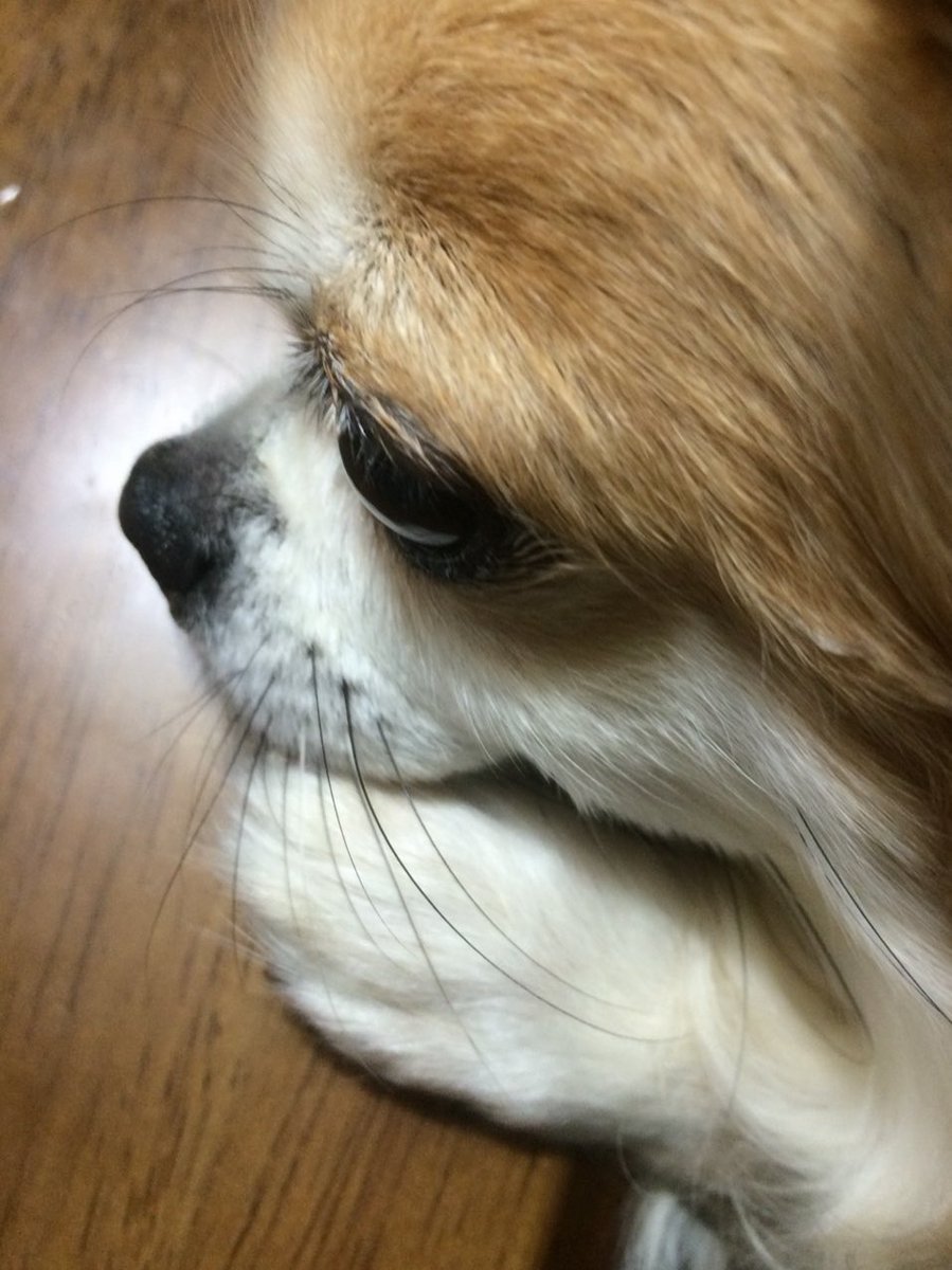 ✟ひで✟ tweet media