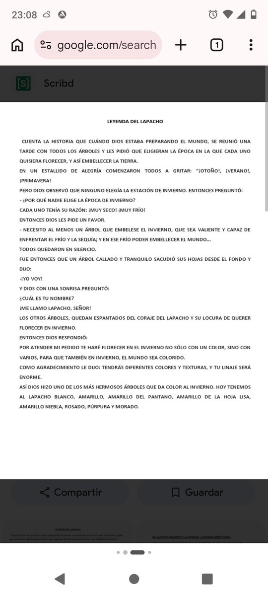 CECILIA ARCE 🇦🇷🇪🇸 tweet media