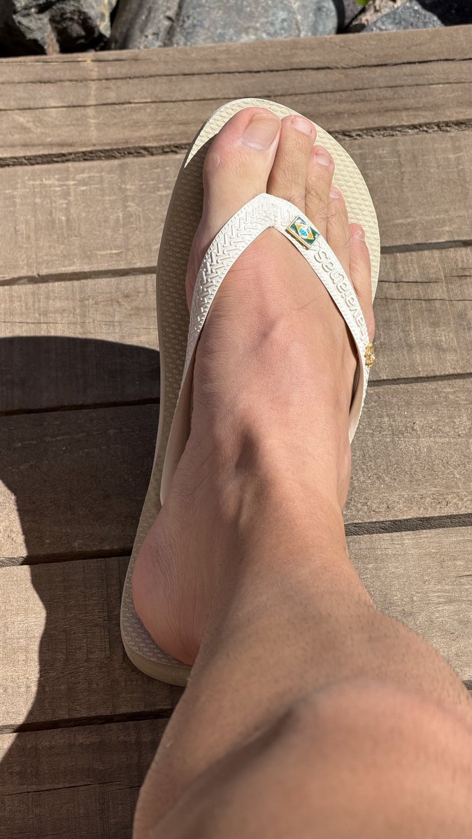 𝙳 𝚒 𝚎 𝚐 𝚘 🪴 tweet media