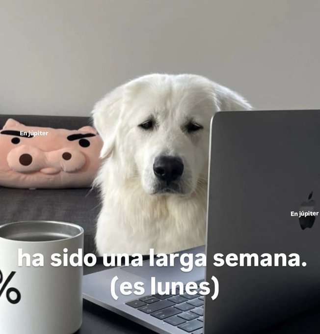 FraseSimple's tweet photo. https://t.co/yGjudgiO6N