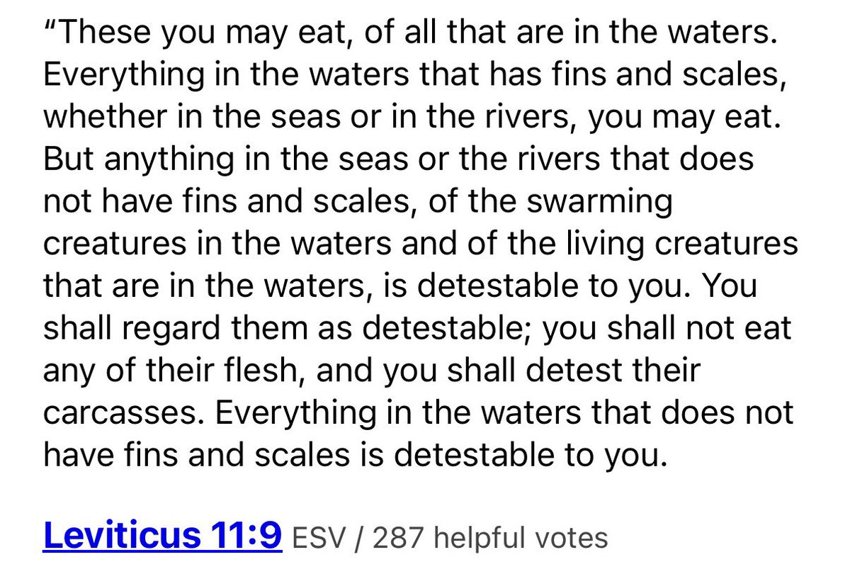 jets west tweet media