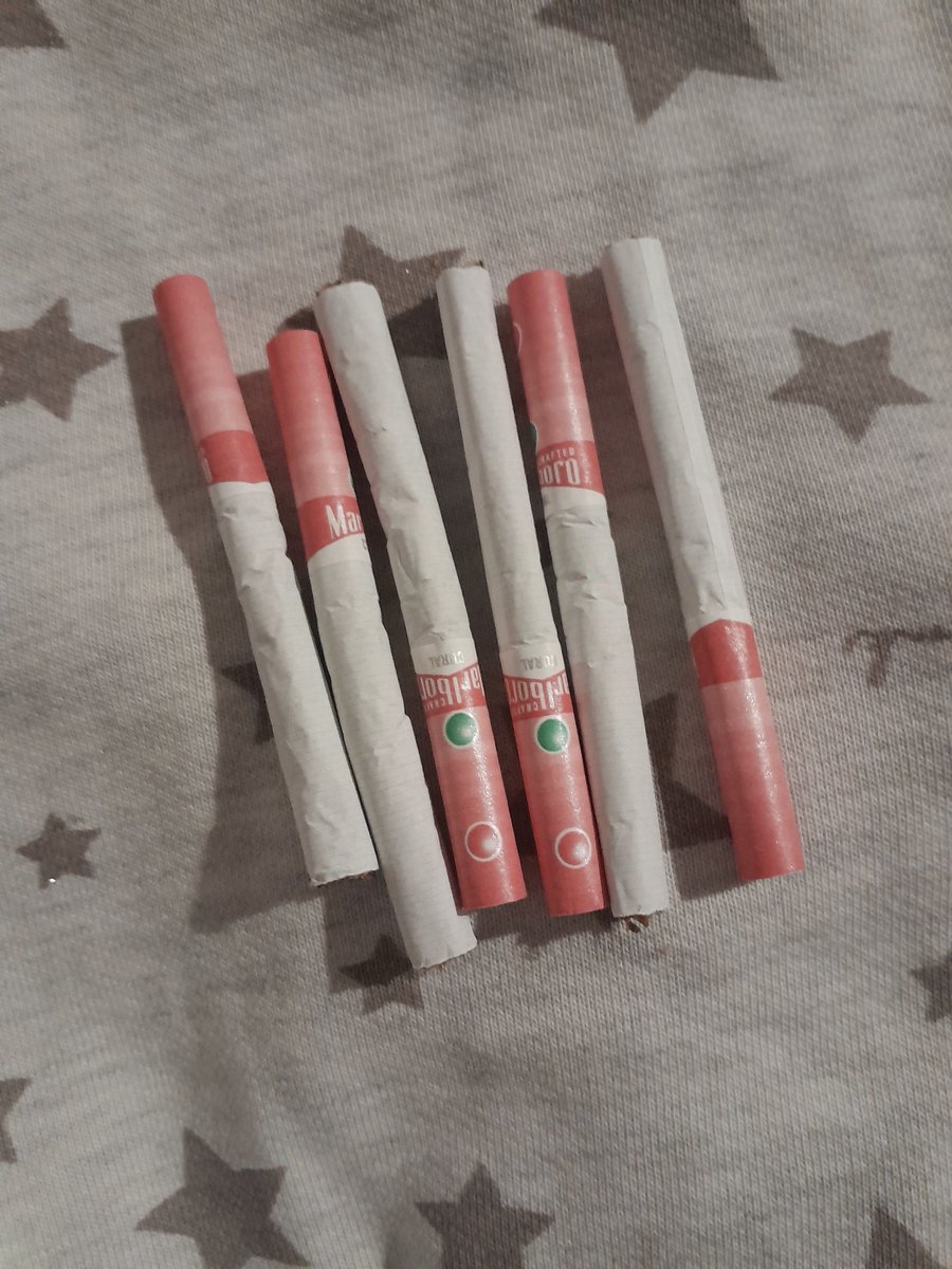 𑣲coconut tweet media