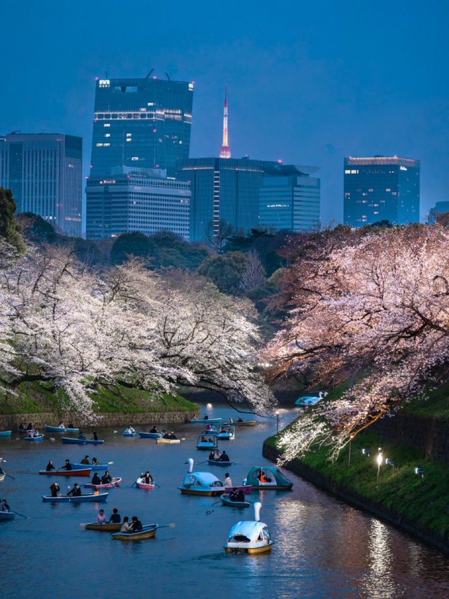 Milton Friedom5 ✈️ tweet media