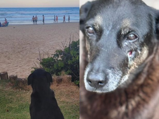 Gabriel Charro tweet media