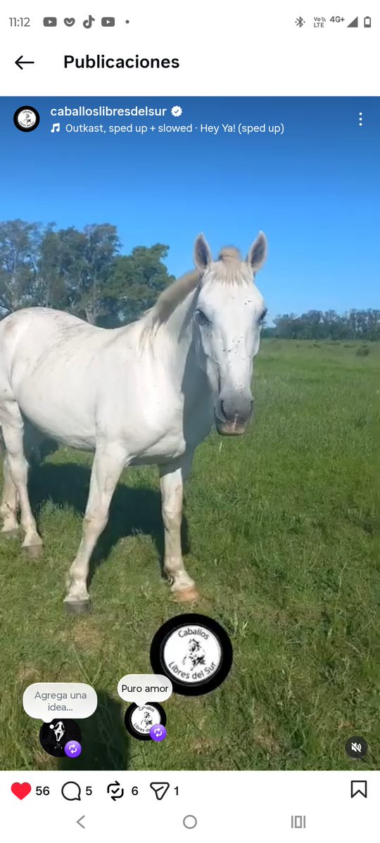 Chano_177 tweet media