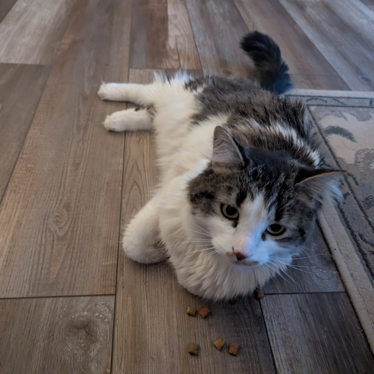 BookstoreThor tweet media