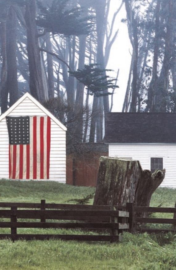 American Nostalgia tweet media