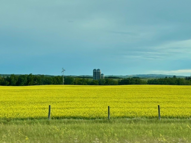 Pumpkin PR tweet media