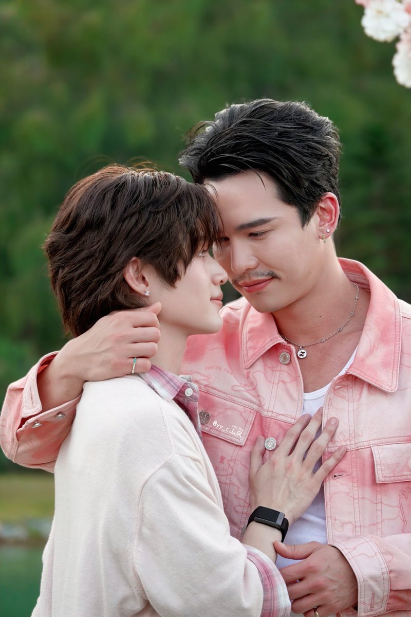 shanfeng tweet media