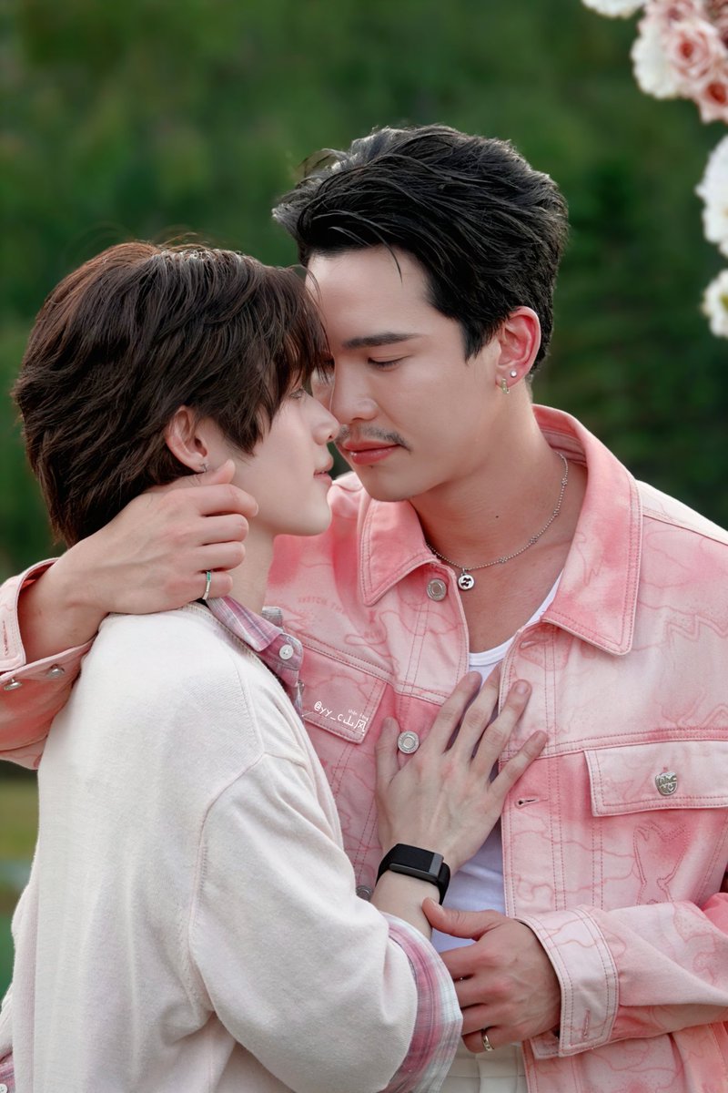 shanfeng tweet media