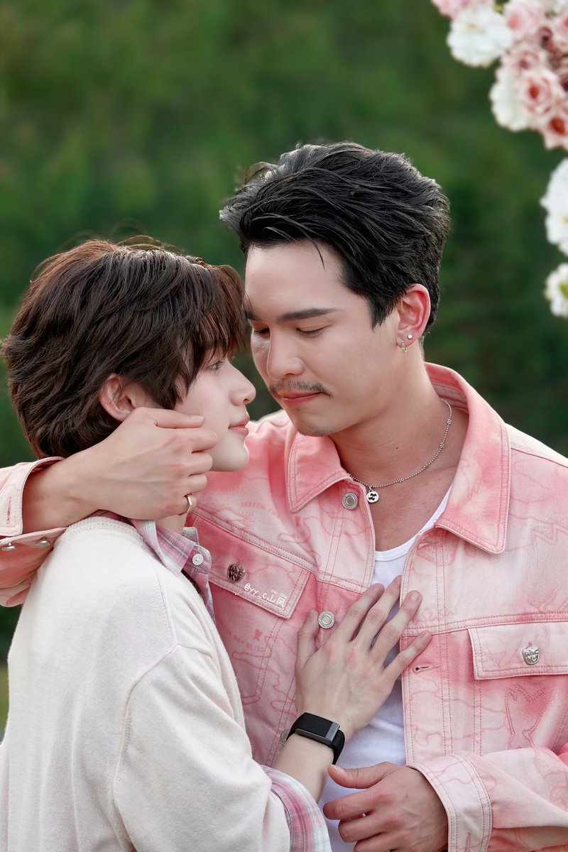 shanfeng tweet media