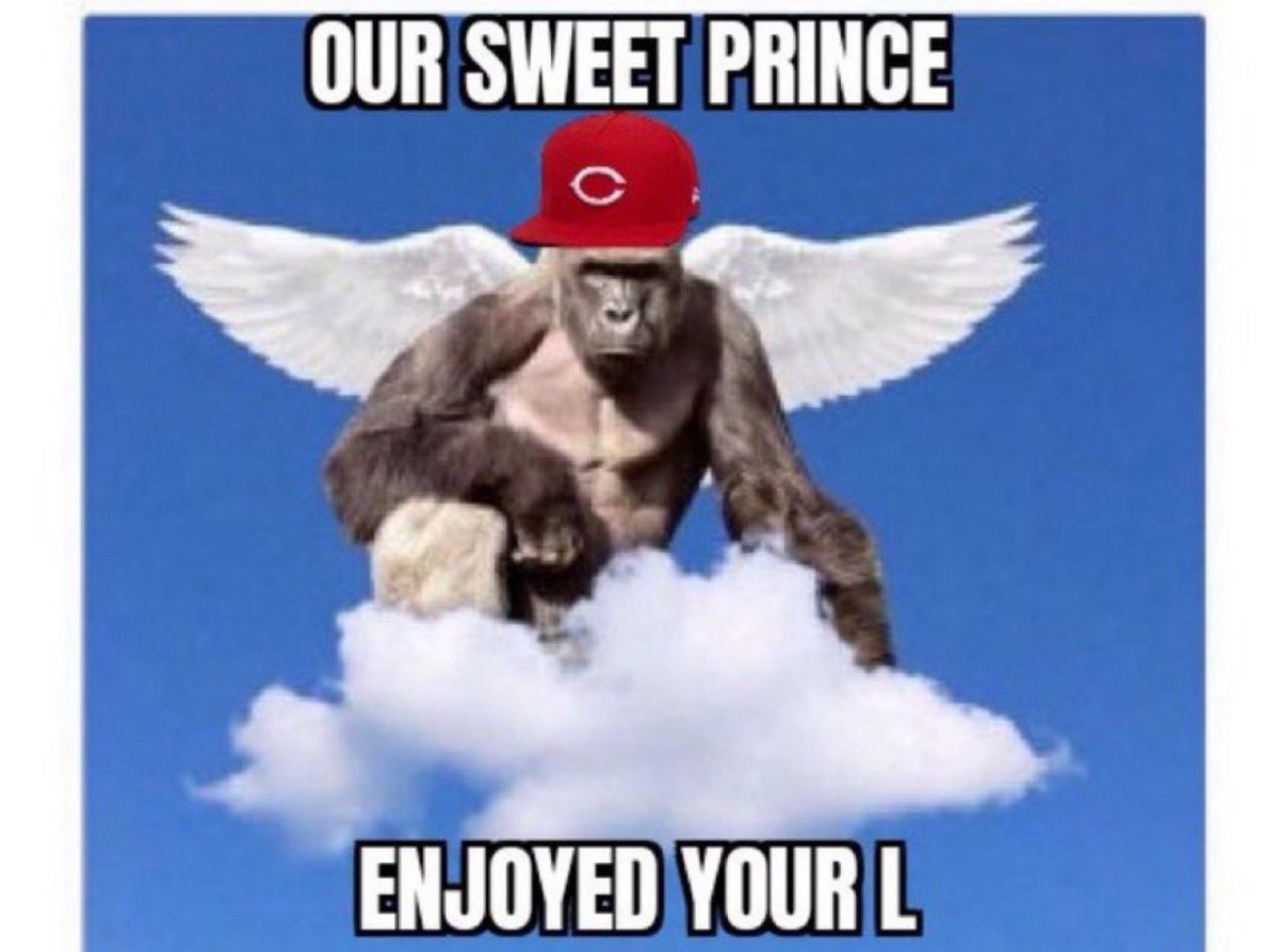 Michael21baseball tweet media