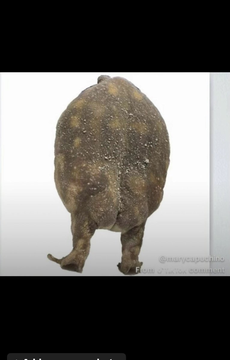 Cooper shackle tweet media