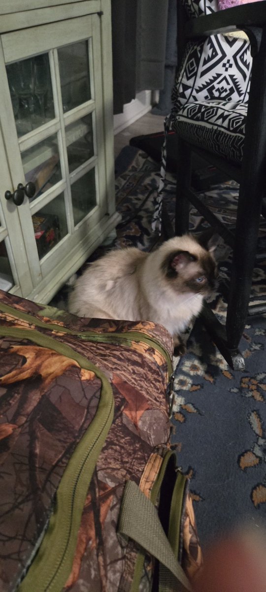 shawn pepper tweet media