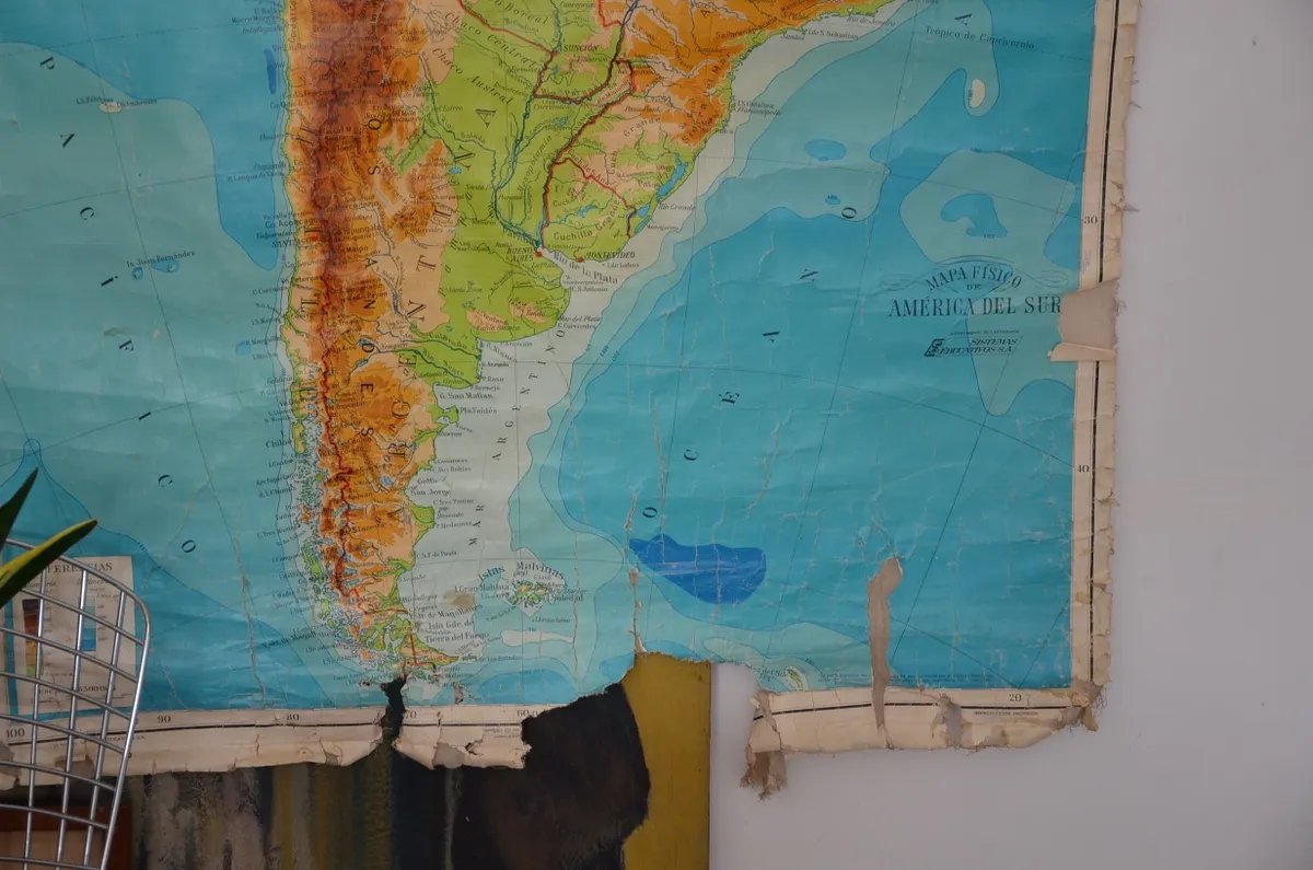 Luciana Sabina  tweet media