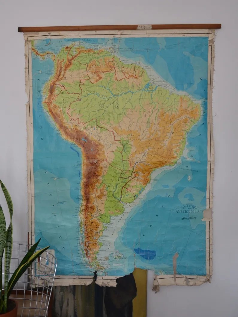 Luciana Sabina  tweet media