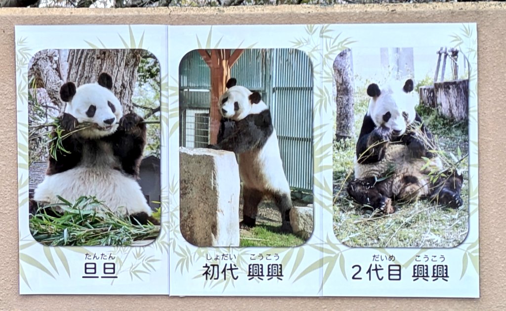 王子動物園市民サミット tweet media