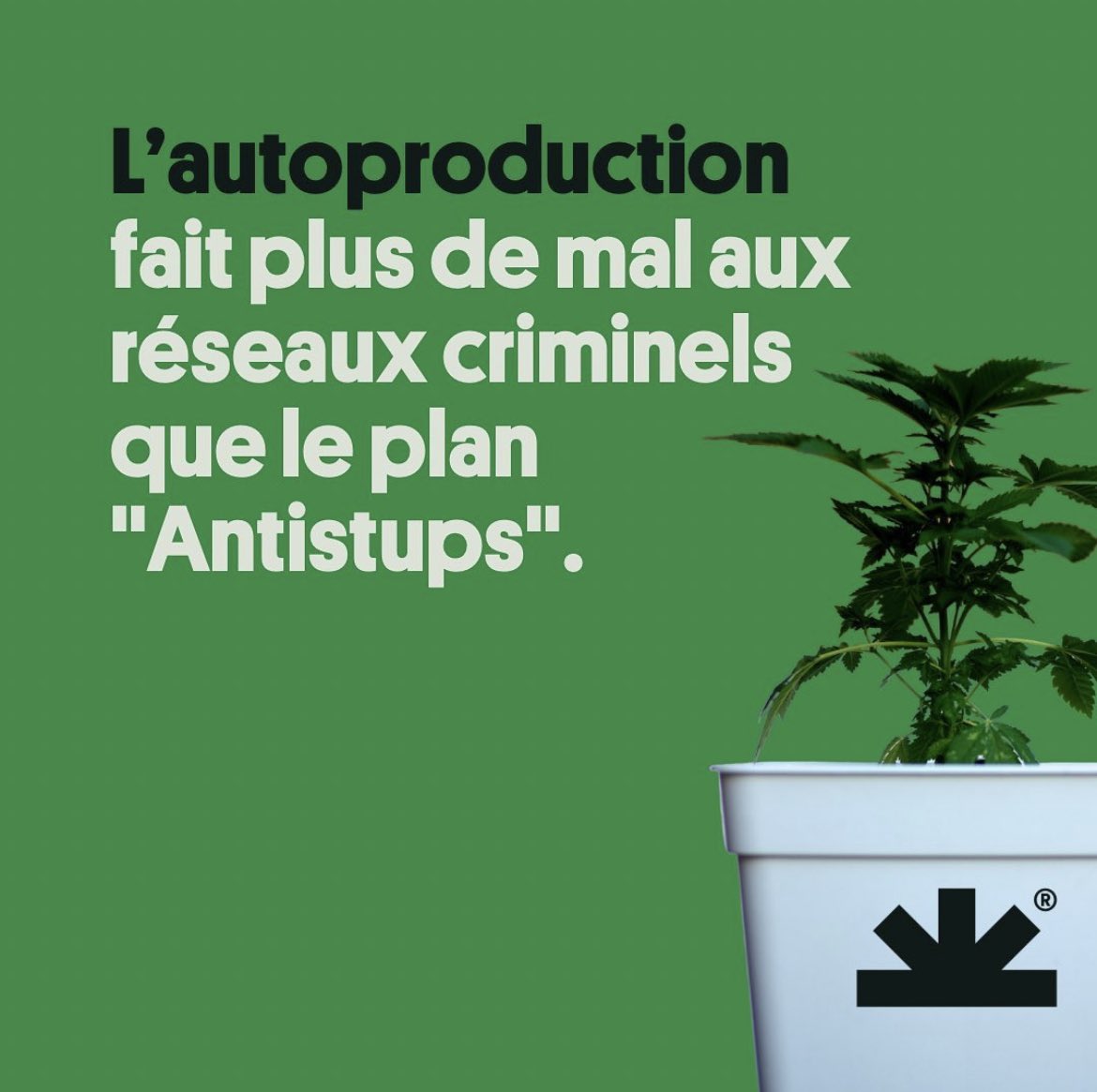 👨‍🌾🌱Weed2Lux⚕️🌿 tweet media