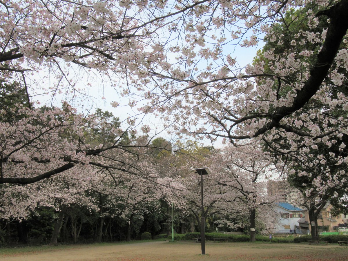 さいたま市桜区役所 tweet media