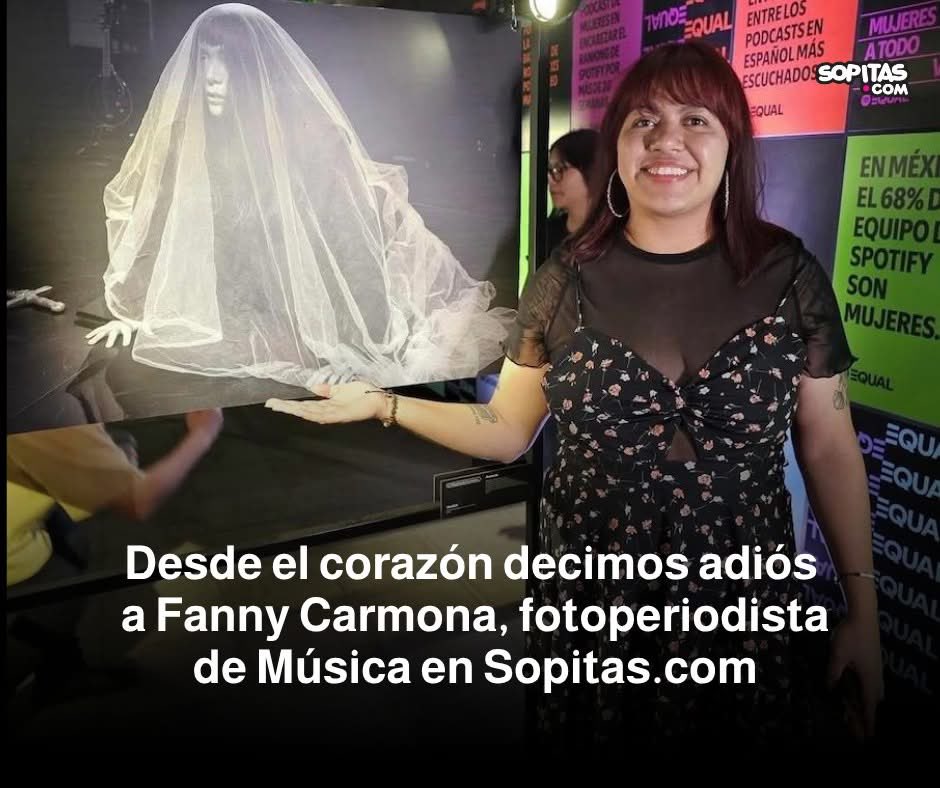 Lic perrito kpooper tweet media