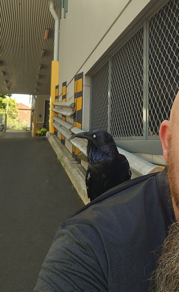 Uncle CornPop (Profile 2.0) tweet media